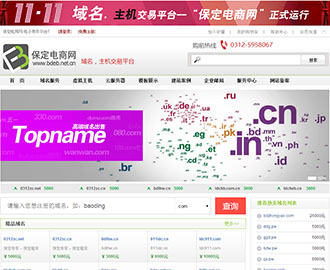 保定电子商务平台